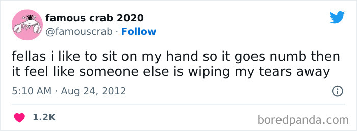 i sit on my hands so i think someone else is wiping my tears tweet meme