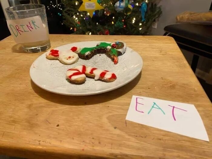 Instructions For Santa In Case The Milk And Cookies Were Confusing