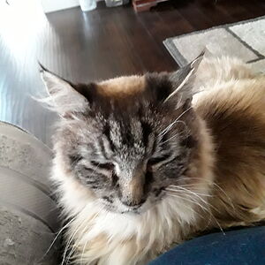 michelembennett1010att_net avatar