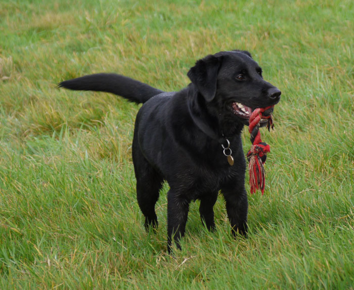 Spoiled Teenager Gets His Birthday Plans Dashed After Aunt Refuses To Host His Birthday Party