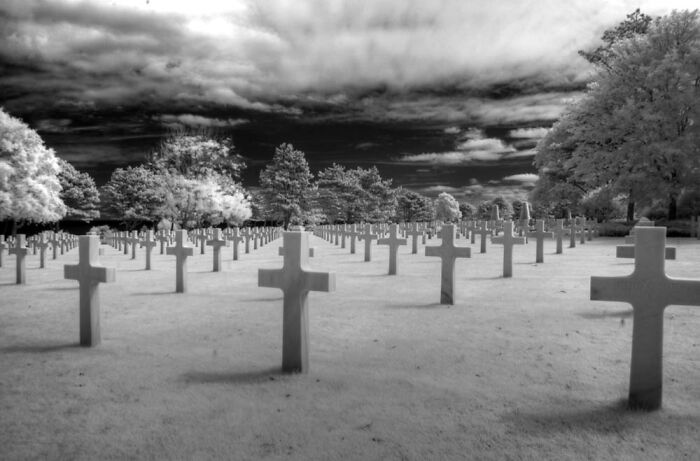 American Cemetery, Normandy, France