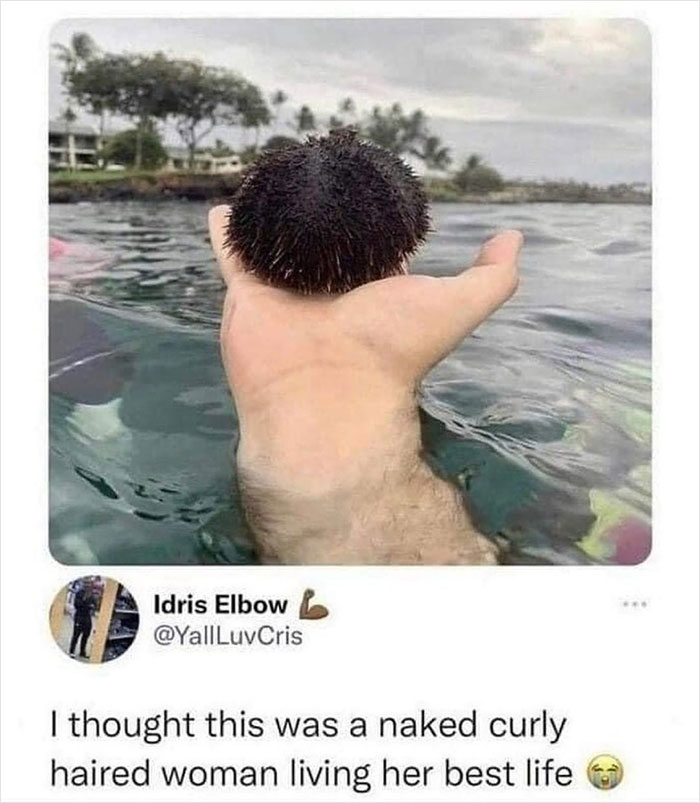Person holding a sea urchin in the ocean, creating a visual illusion. Caption humor from Men's Humor meme page.