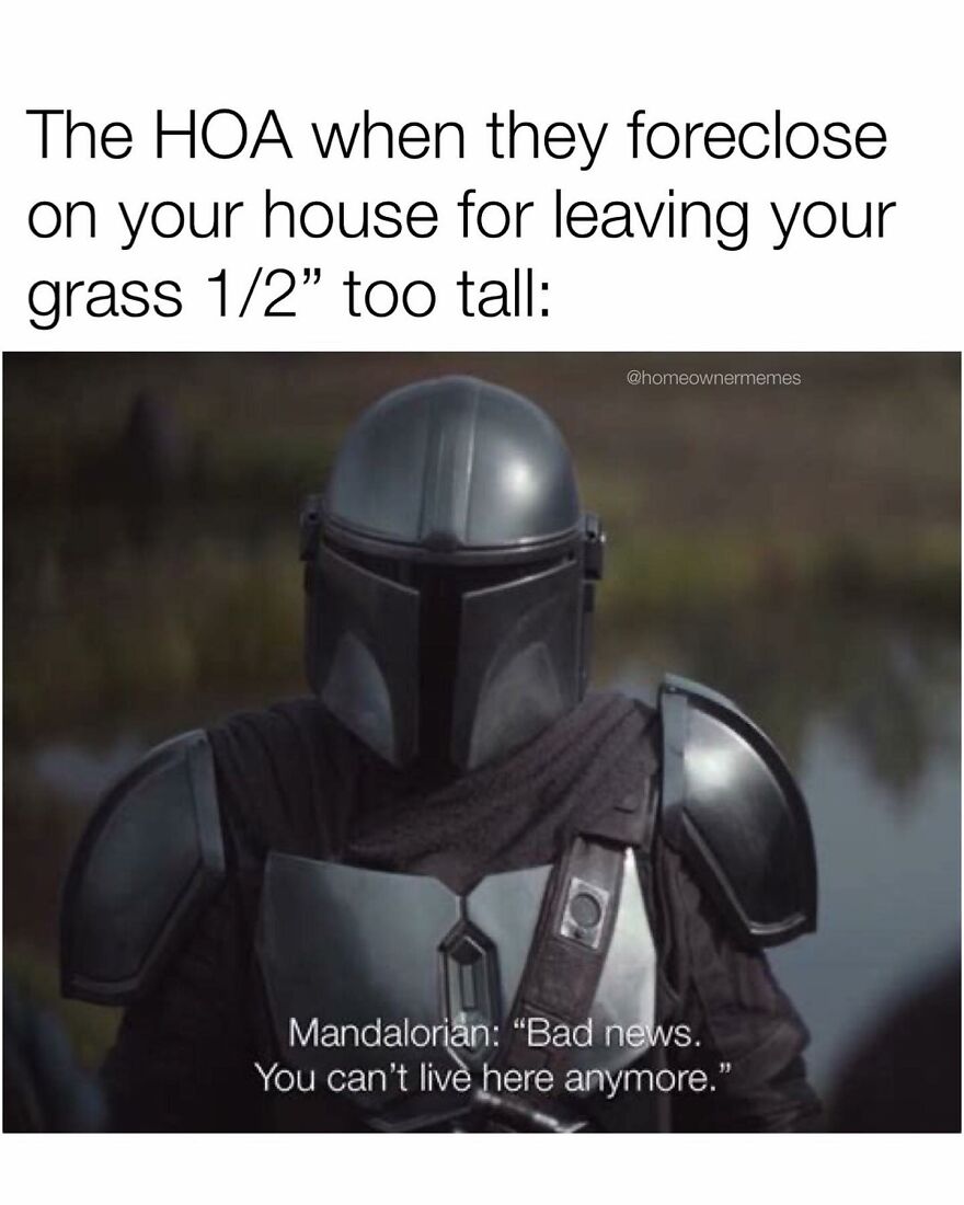 Funny-Homeowner-Memes