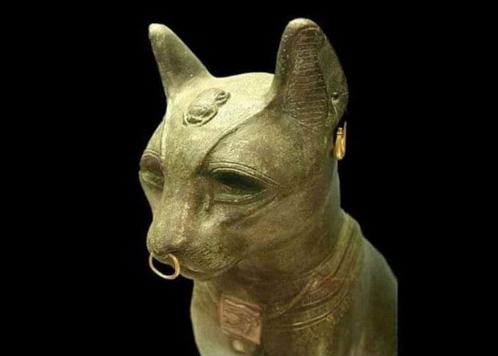 "Hoy aprendí": 25 nuevos datos fascinantes que no te enseñan en la escuela