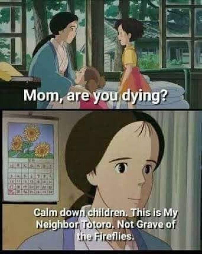 Studio Ghibli meme with "Mom, are you dying?" from My Neighbor Totoro, humorously compared to Grave of the Fireflies.
