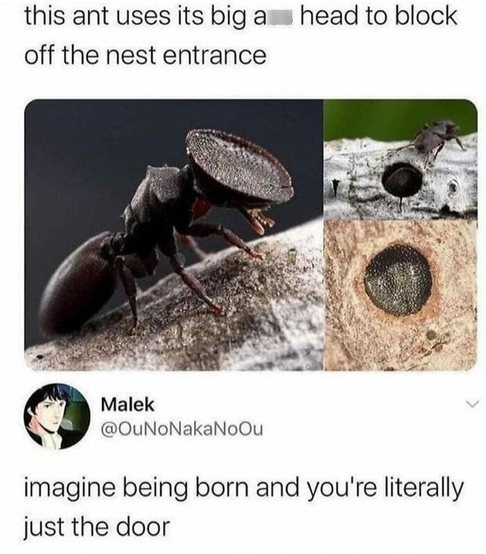 Hilarious-Relatable-Memes