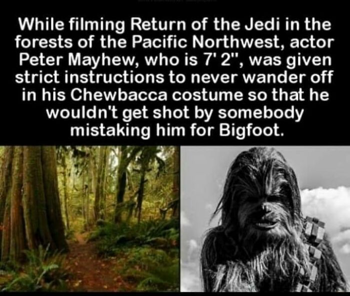 Forest scene and actor in Chewbacca costume with a humorous science joke about Bigfoot and filming safety.