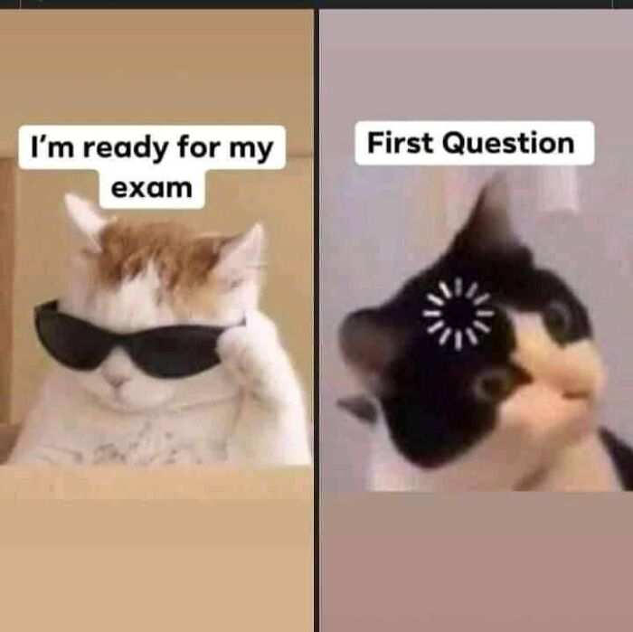 Hilarious-Brainy-Memes