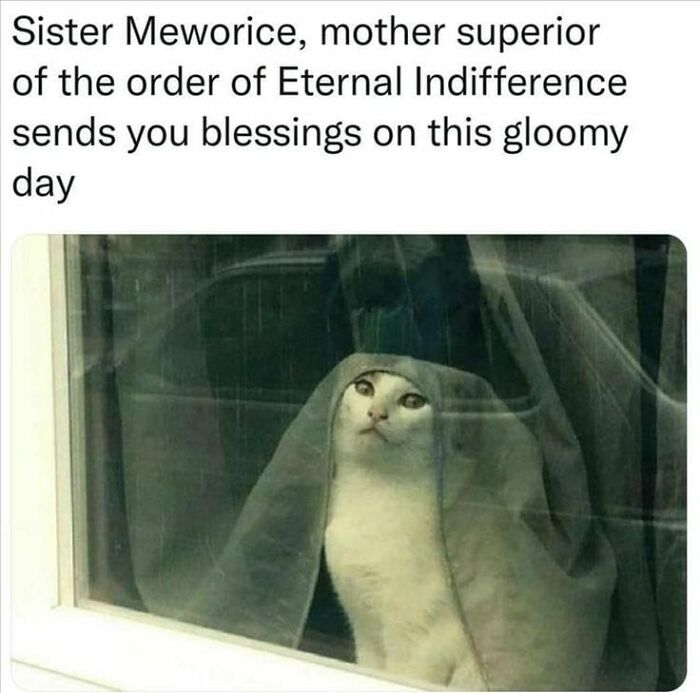 Funny-Kitty-Litterposting-Pictures