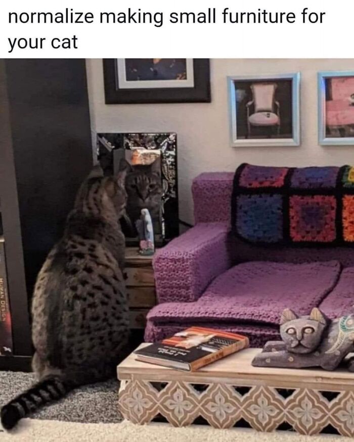 Funny-Kitty-Litterposting-Pictures