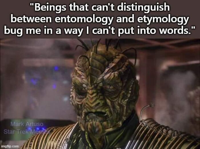 Alien character with insect-like features and armor, illustrating a science humor joke about entomology and etymology confusion.