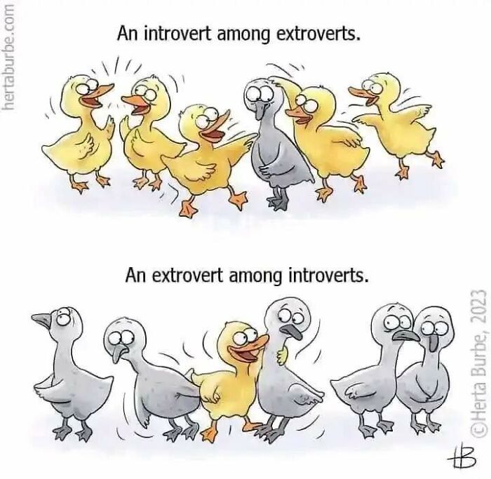 Relatable-Introvert-Problems-Pics