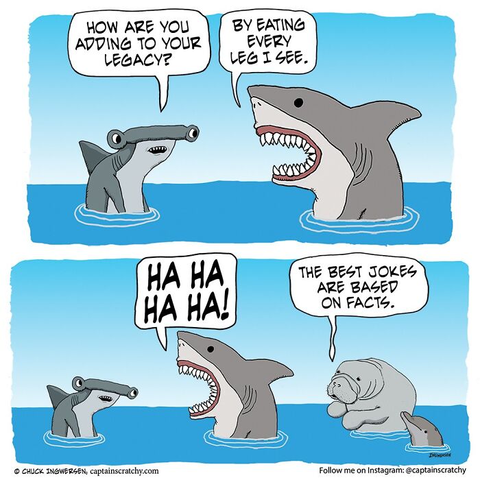 New Wholesome Single-Panel Comics By “Captain Scratchy” About Animals Can Amuse You