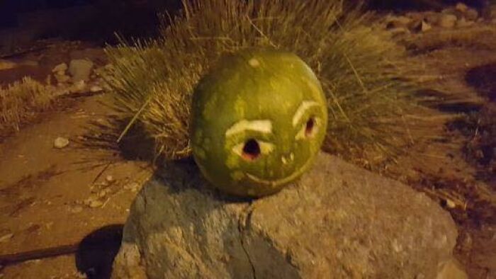 Unusual-Images-Facebook