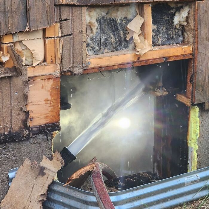 Heartwarming Story Of Dog Rescuing His Family From Fire Heartwarming Story Of Dog Rescuing His Family From Fire