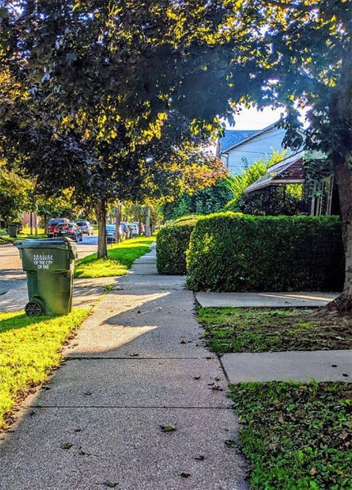 Mildly-Infuriating-Pictures