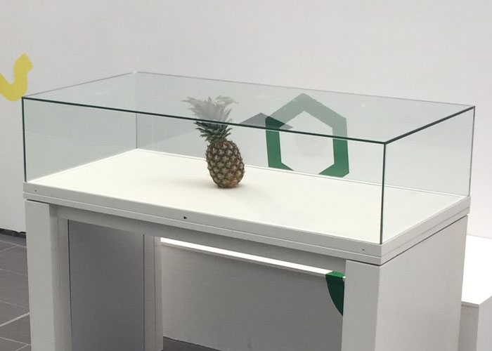 "Hoy aprendí": 25 nuevos datos fascinantes que no te enseñan en la escuela