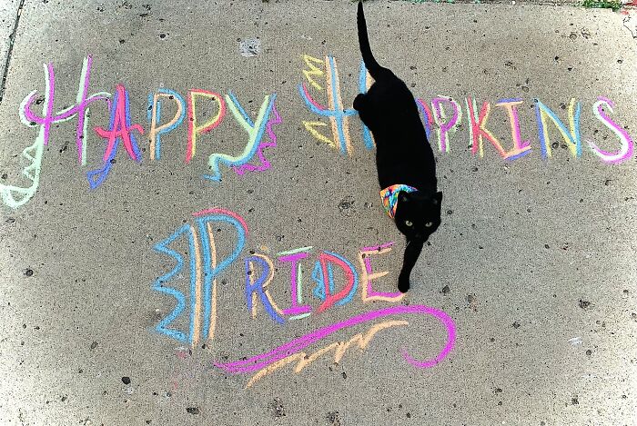Zorba Celebrating My Town’s First Ever Pride!