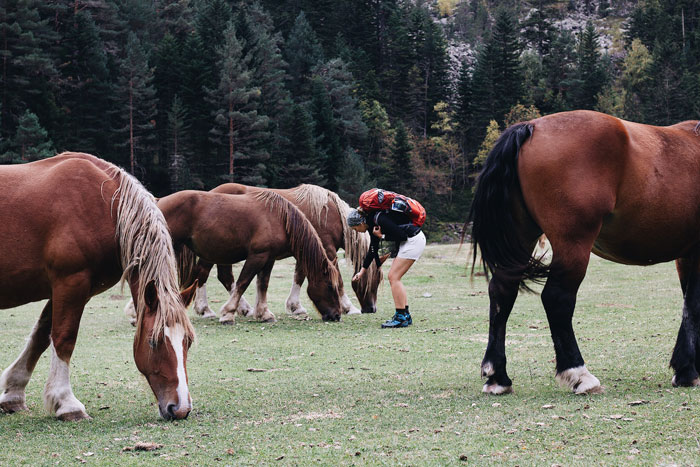 Entitled Horse Rider Made To Literally Scoop Horse Dung Into Her Backpack After Being Caught By Landowner