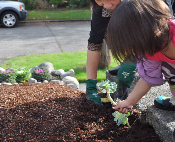 Neighbor Ruins Kid’s Botany Project Over And Over As Parents Keep Putting It In Her Parking Spot Neighbor Ruins Kid’s Botany Project Over And Over As Parents Keep Putting It In Her Parking Spot