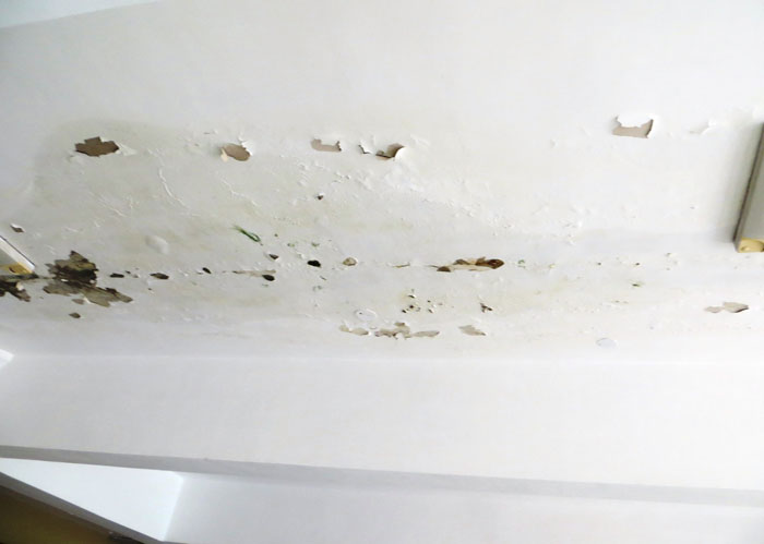 Landlord Denies $400 Refund For Repairs, IT Guy Amps Up His Machinery So It Costs Him $500/Month