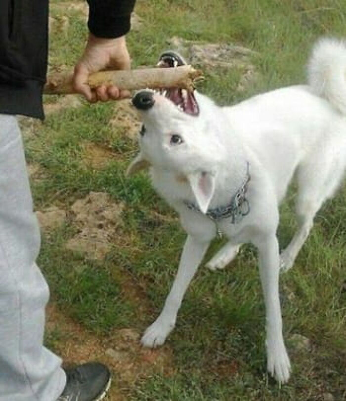 Cursed-Images-Facebook