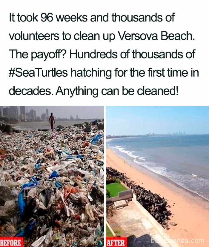 Wow! This Makes Me So Happy. Great Work And Great To Be Reminded That There Are People Who Care!