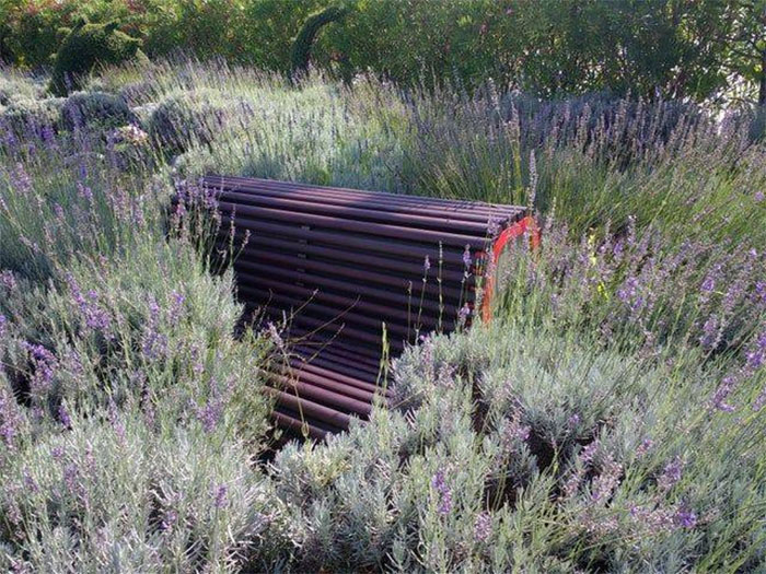 Mildly-Infuriating-Pictures