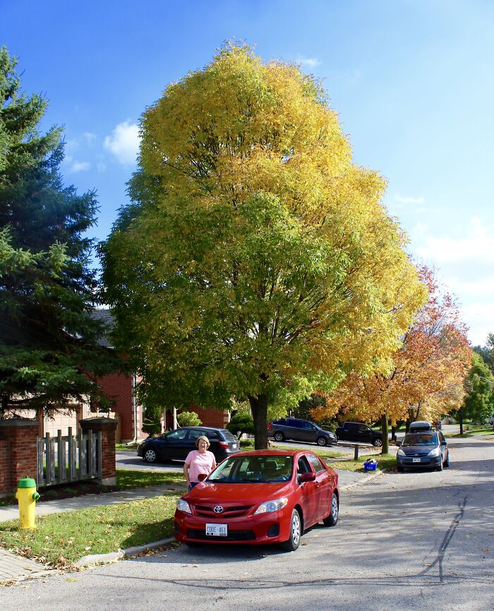 In A Street In Waterloo