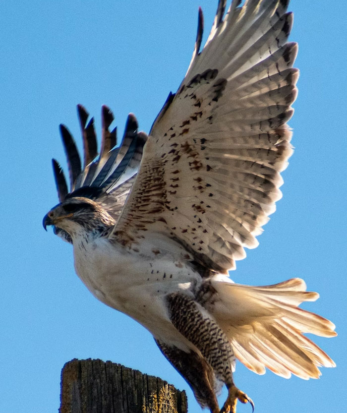 Improbable Doesn’t Mean Impossible: 30 Unlikely Events People Experienced Firsthand