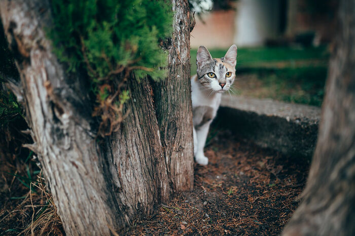 “When The Restrooms Have Blue Lights”: Netizens Share 30 Ways To Identify Bad Neighborhoods