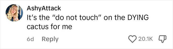Comment from AshyAttack highlighting a "do not touch" note on a dying cactus in a viral Airbnb rules post.