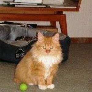 maryannecole957 avatar