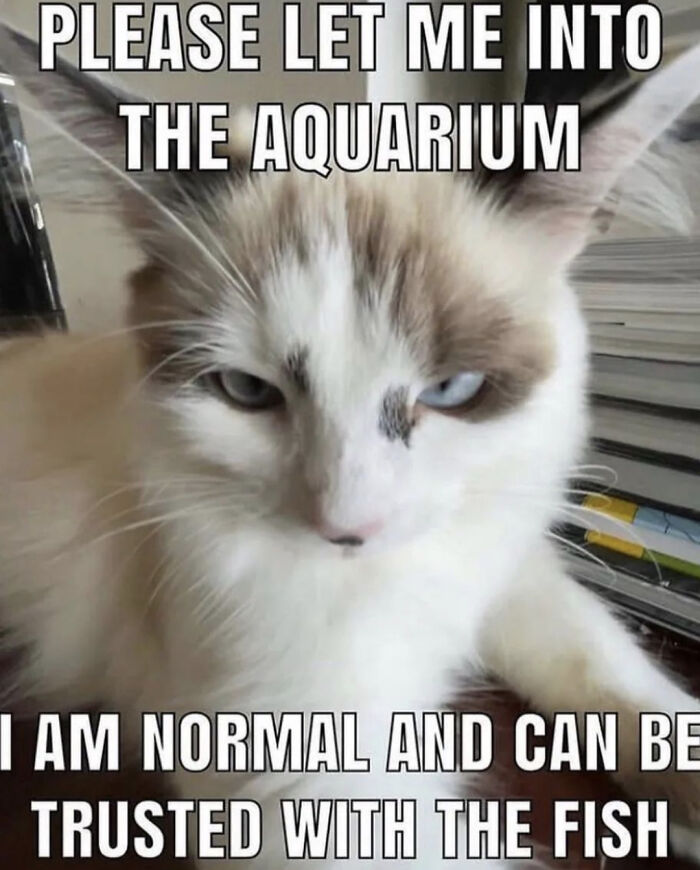 Very Trustworthy, 10/10 Trusty. Would Trust Everytime.😌👍