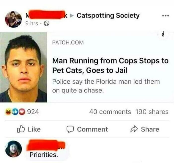 Funny cat photo meme about a man pausing to pet cats while fleeing police, shared in a cat appreciation group.