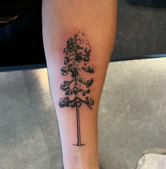 Forearm tattoo of a majestic tree in black ink, showcasing nature-themed art.