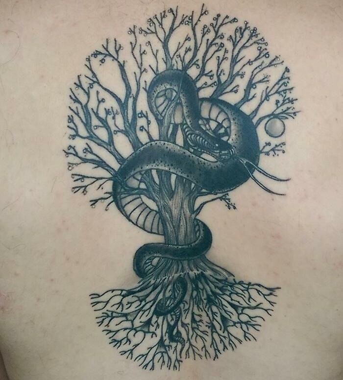 Tree tattoo with a coiled snake, showcasing intricate branches and roots.