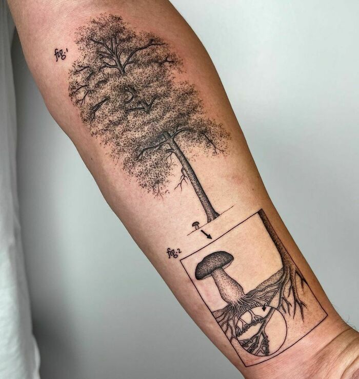 Intricate science tattoo featuring a tree and a detailed mushroom on an arm.