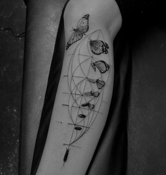 Science tattoo of butterfly lifecycle and geometric design on an arm.