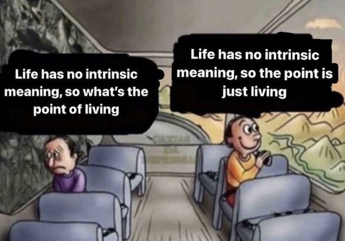 life has no instrisic meaning, so whats the point of living meme
