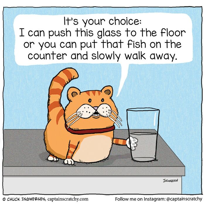 New Wholesome Single-Panel Comics By “Captain Scratchy” About Animals Can Amuse You