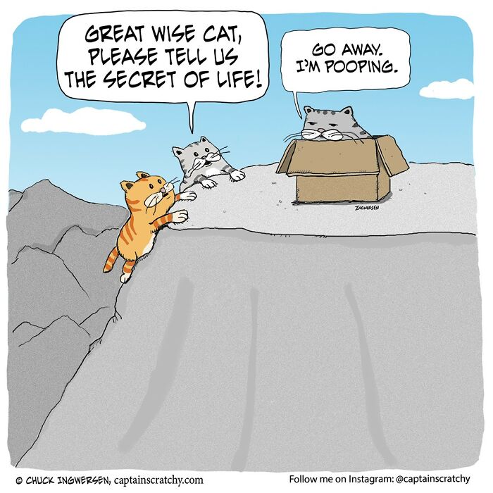 New Wholesome Single-Panel Comics By “Captain Scratchy” About Animals Can Amuse You