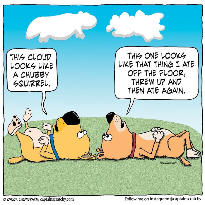 New Wholesome Single-Panel Comics By “Captain Scratchy” About Animals Can Amuse You