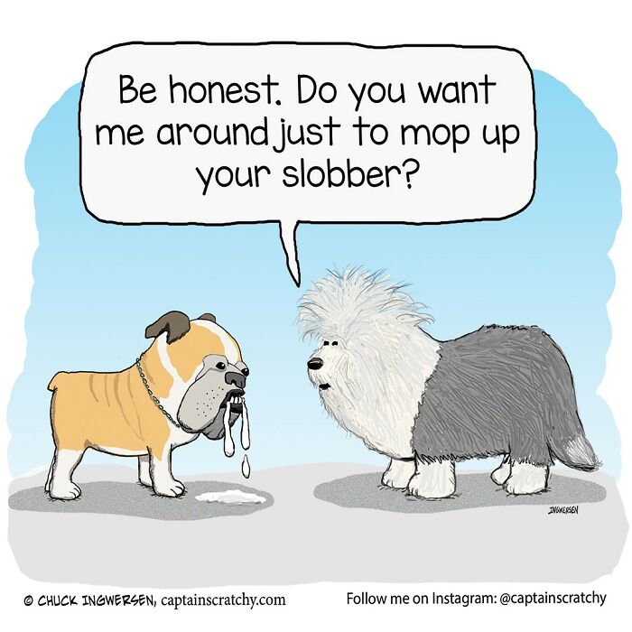 New Wholesome Single-Panel Comics By “Captain Scratchy” About Animals Can Amuse You