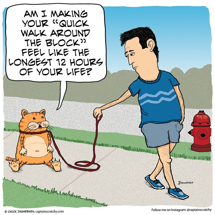 New Wholesome Single-Panel Comics By “Captain Scratchy” About Animals Can Amuse You