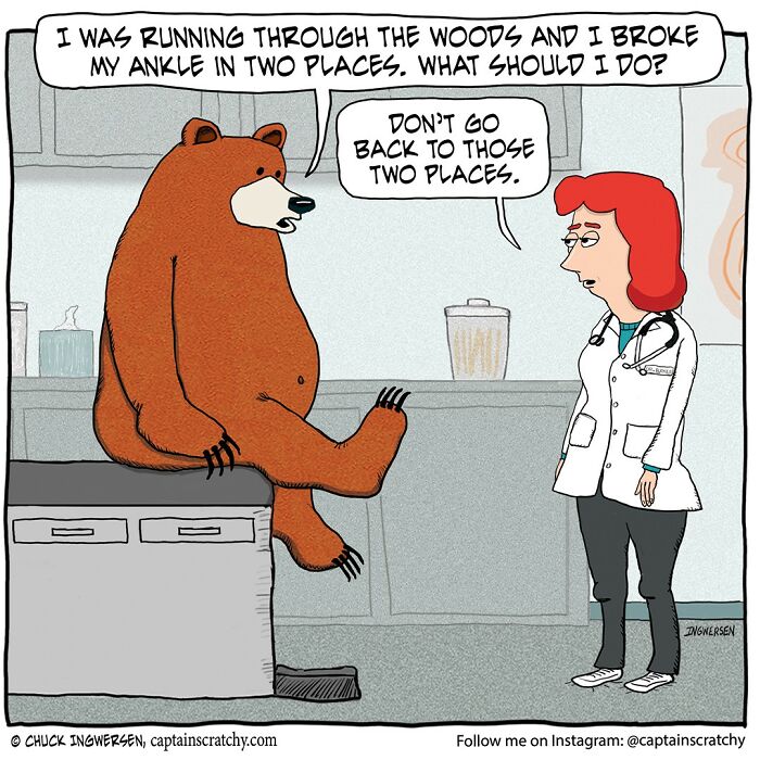 New Wholesome Single-Panel Comics By “Captain Scratchy” About Animals Can Amuse You