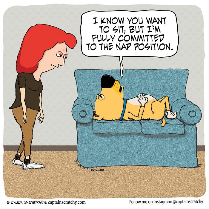 New Wholesome Single-Panel Comics By “Captain Scratchy” About Animals Can Amuse You