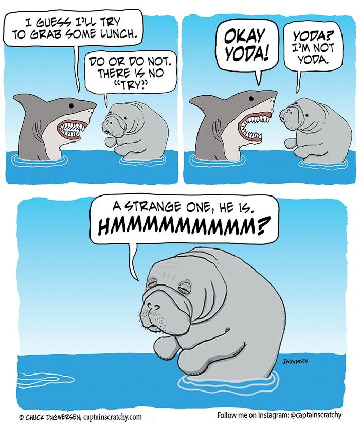 New Wholesome Single-Panel Comics By “Captain Scratchy” About Animals Can Amuse You