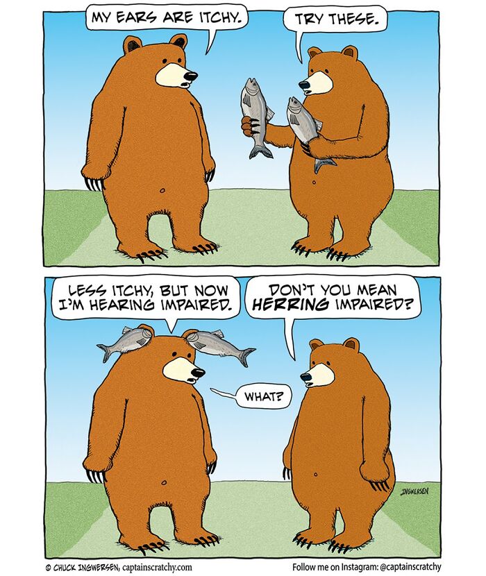 New Wholesome Single-Panel Comics By “Captain Scratchy” About Animals Can Amuse You