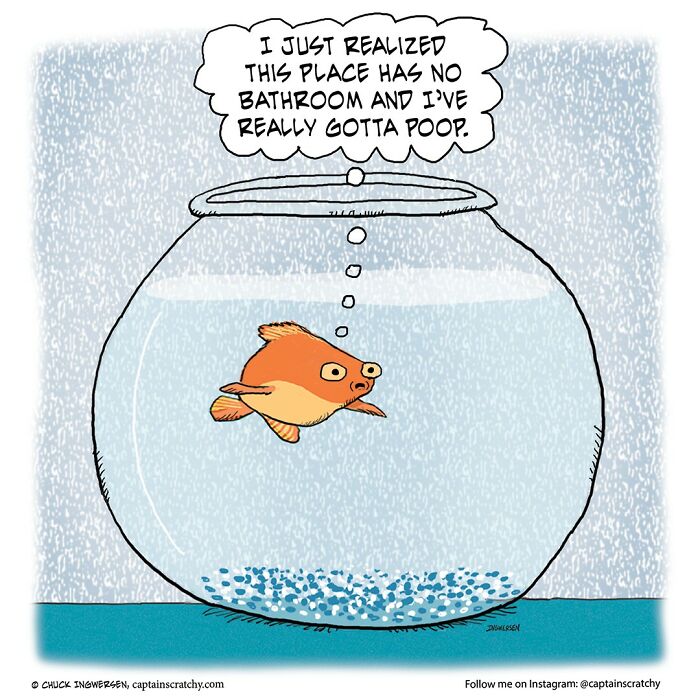 New Wholesome Single-Panel Comics By “Captain Scratchy” About Animals Can Amuse You